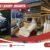 SEWA HIACE LUXURY JAKARTA