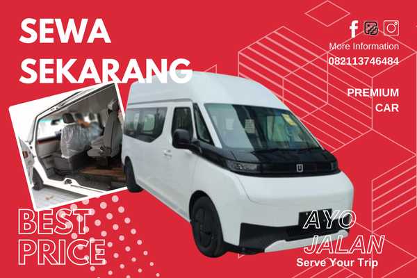 MInibus EV 9 seat (1)