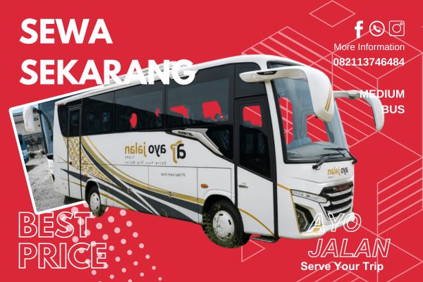 Medium Bus 1 Medium Bus 1