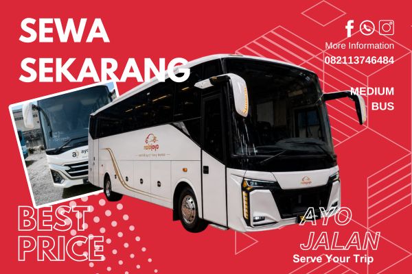 Medium Bus Medium Bus